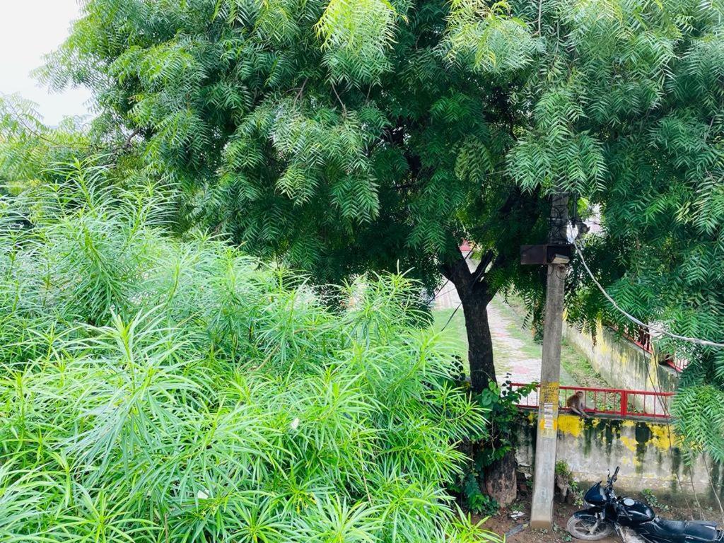 Shree Balaji Homestay Ayodhya Esterno foto